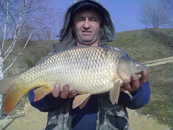 20110304132-001.jpg