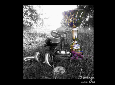 dscf9142.jpg