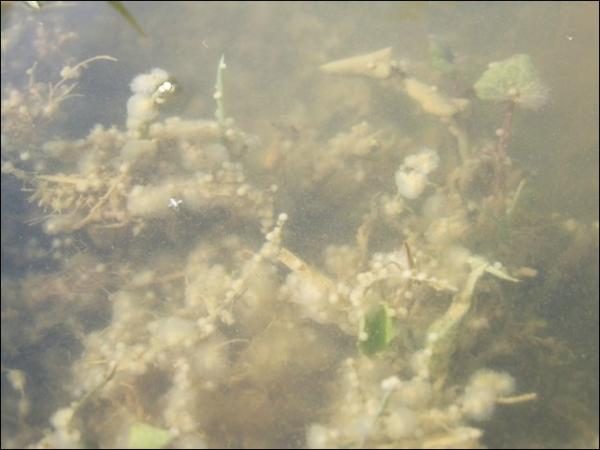 dscf3140.jpg
