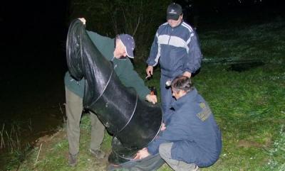 DSCF3009.JPG