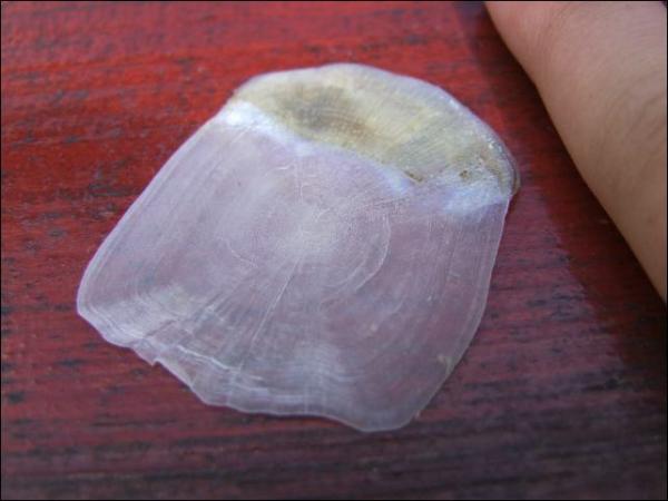 dscf3547.jpg