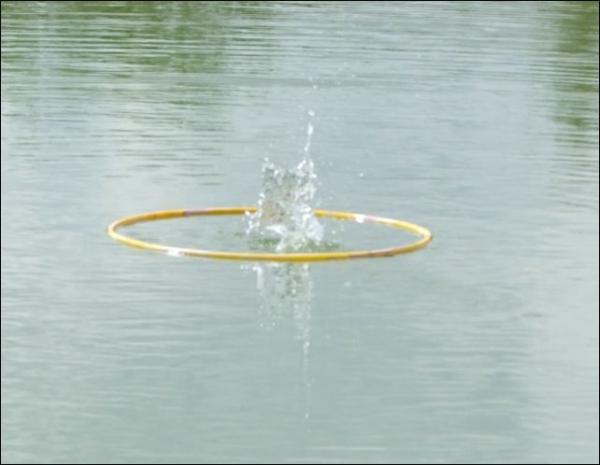 dscf3604.jpg