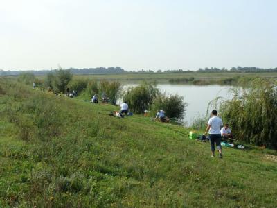 DSC01126.JPG